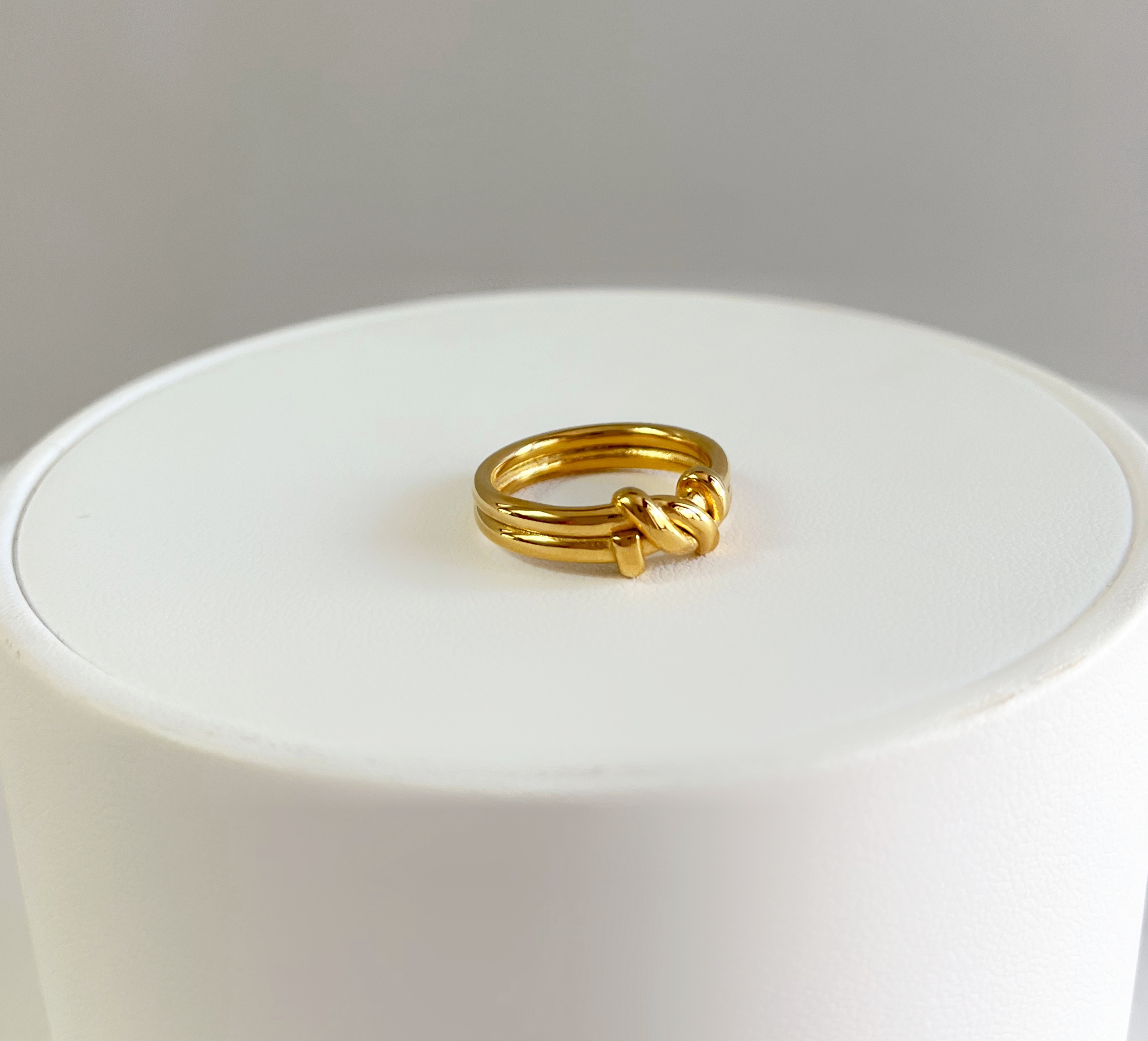 Anillo Neptuno