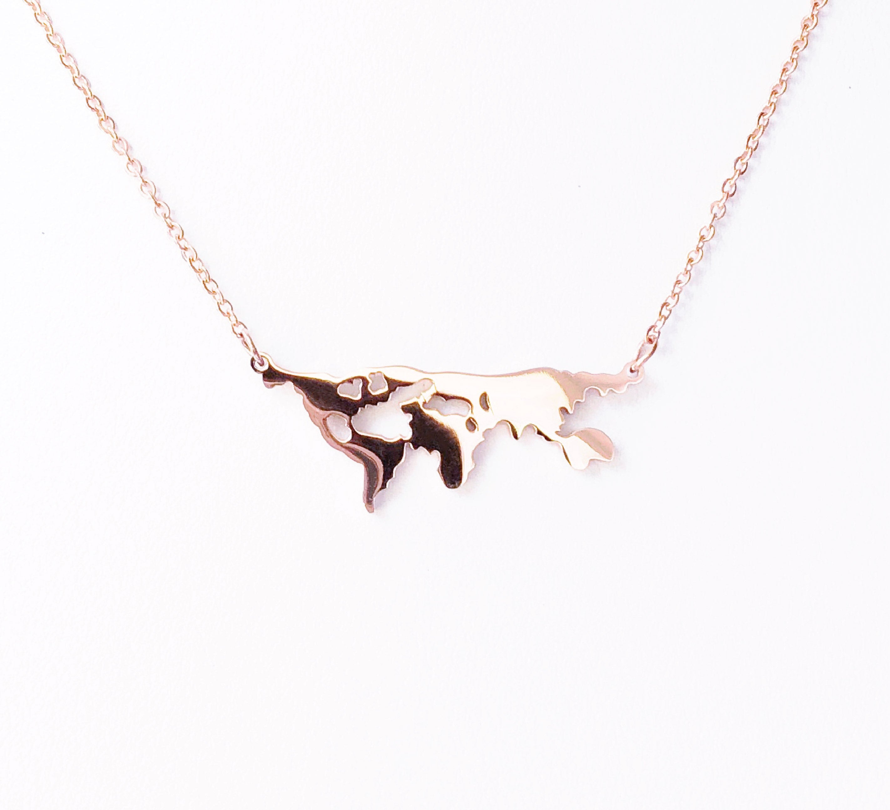 Collar Mapa Rosa